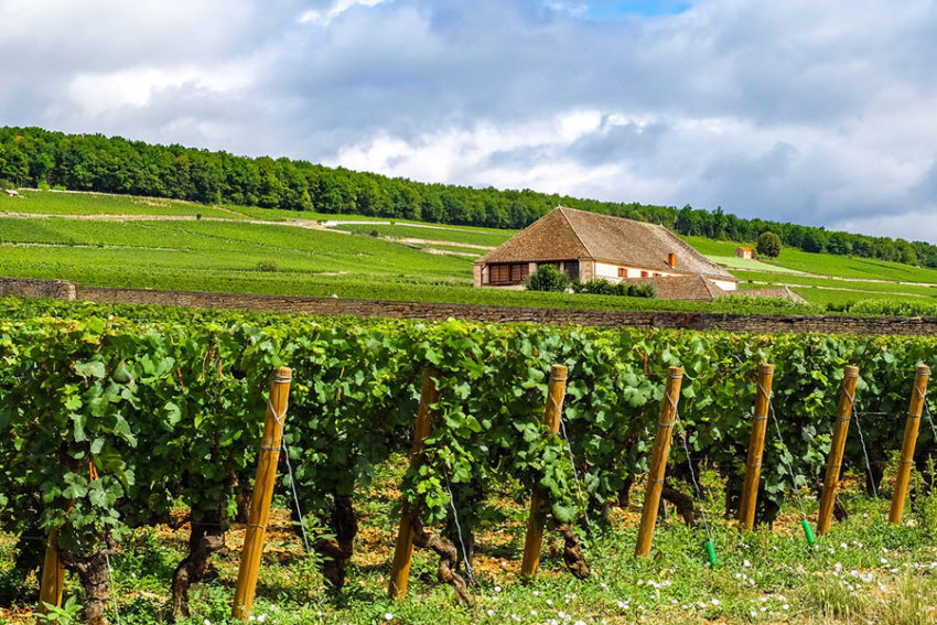 à faire bourgogne