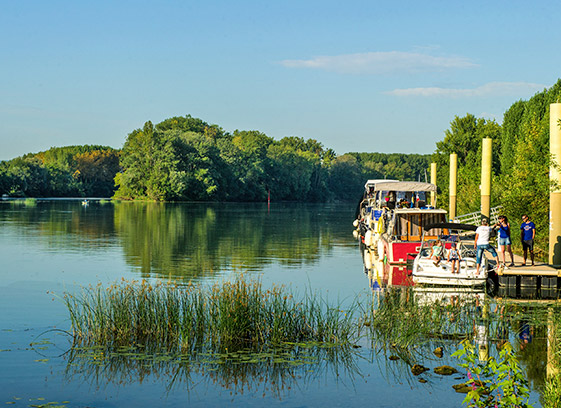 Riverside camping