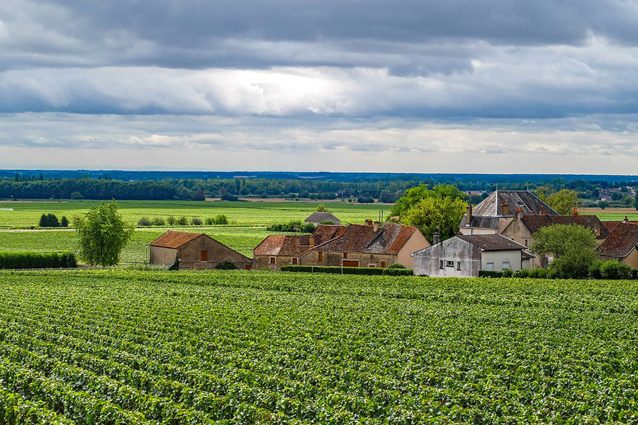 vignoble camping bourgogne