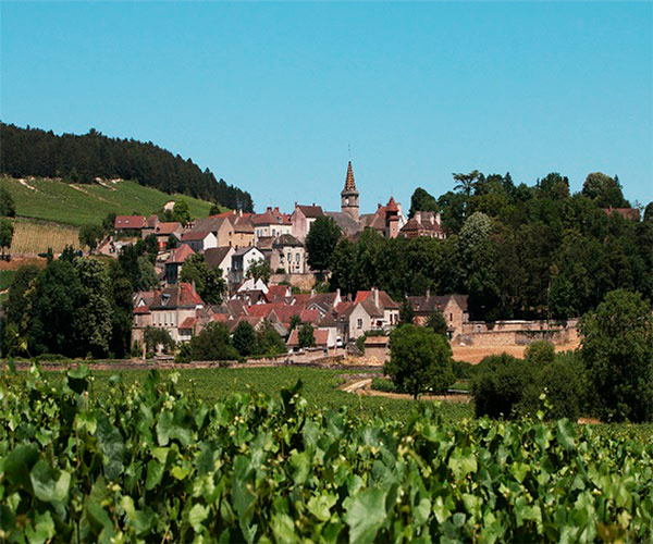 Chalet auf einem burgunderfarbenen Hügel