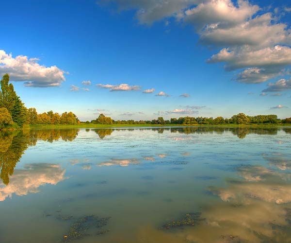 camping proche Dombes