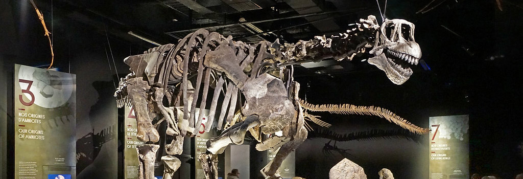 dinosaures grandeur nature