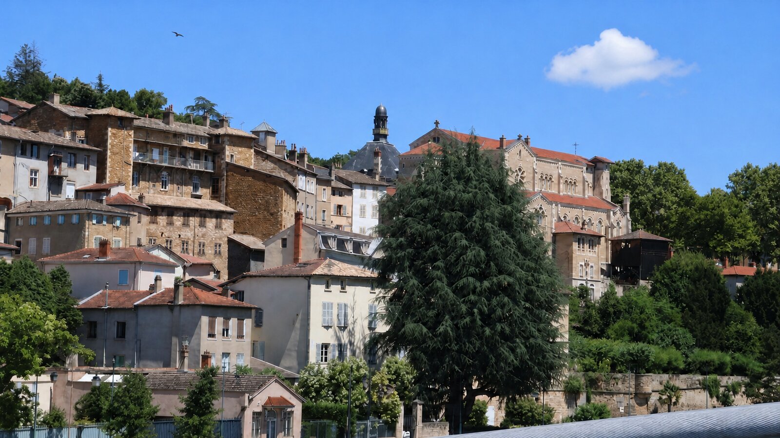 Vue du village de Trévoux dans l'Ain depuis la Saône